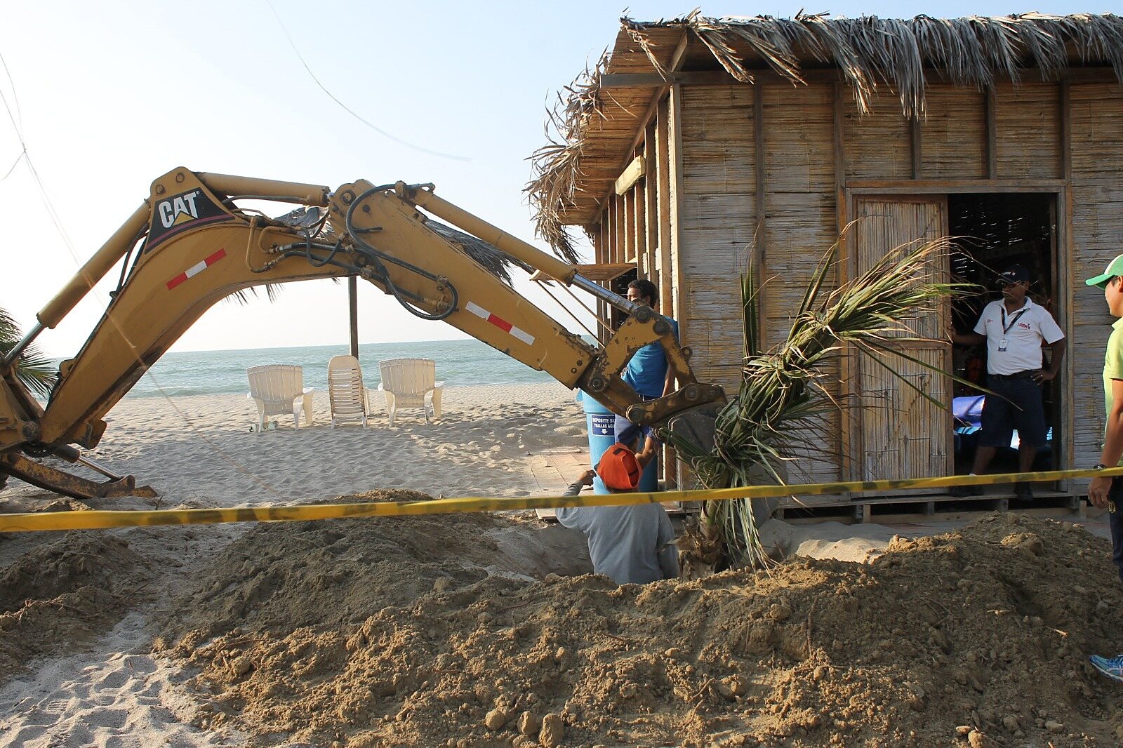 Instalación de palmeras — proyecto Hotel Casa Andina