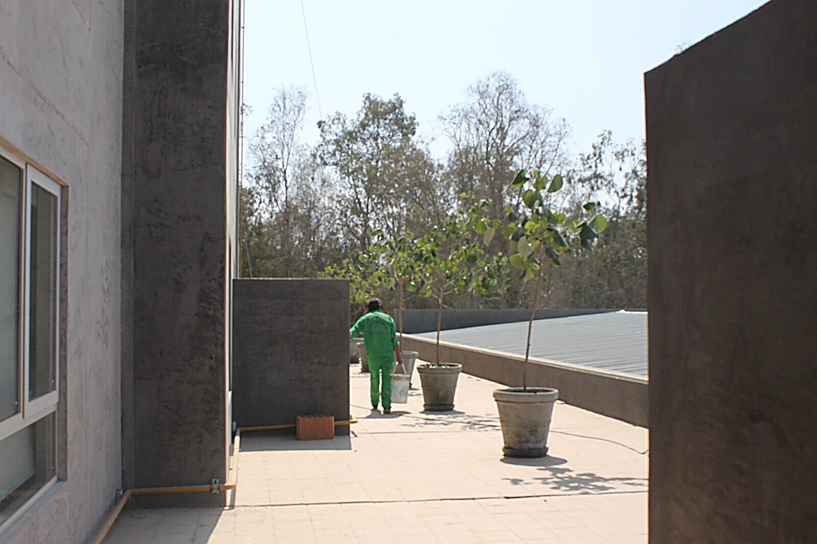 Áreas verdes de terraza — proyecto Hotel Casa Andina