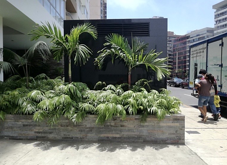 Jardinera urbana con palmeras en avenida