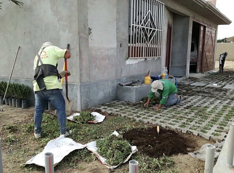 Instalación de adoquín ecológico con césped