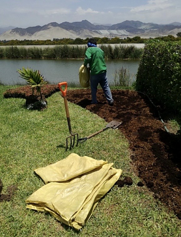Mantenimiento de jardín junto a laguna