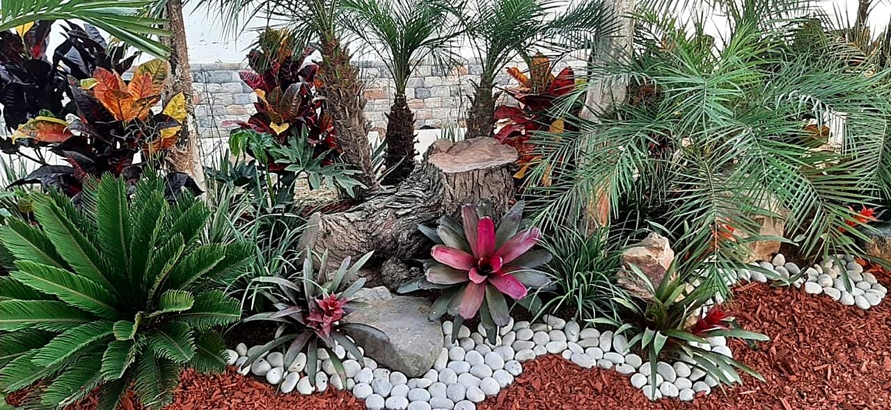 Diseño de jardín con bromelias y piedra blanca